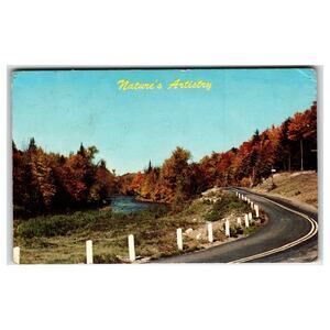Vintage Dexter ME Autumn Road River Fall Foliage Postcard Arthur F Barnes